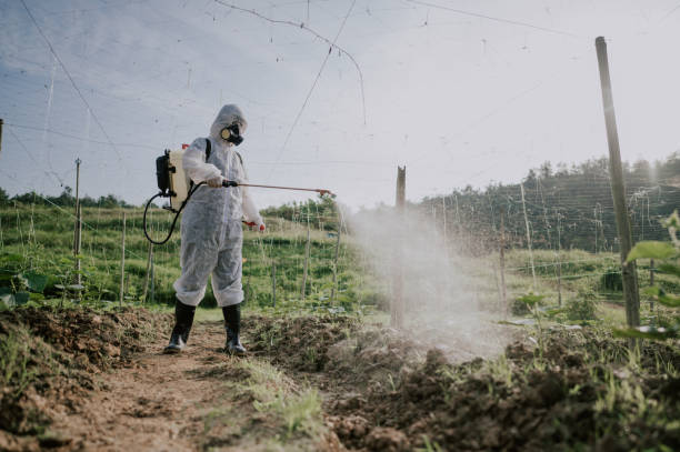 Pest Control Cost in El Dorado Hills, CA