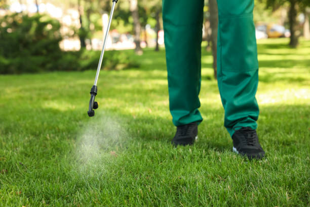 Best Pest Removal Services  in El Dorado Hills, CA