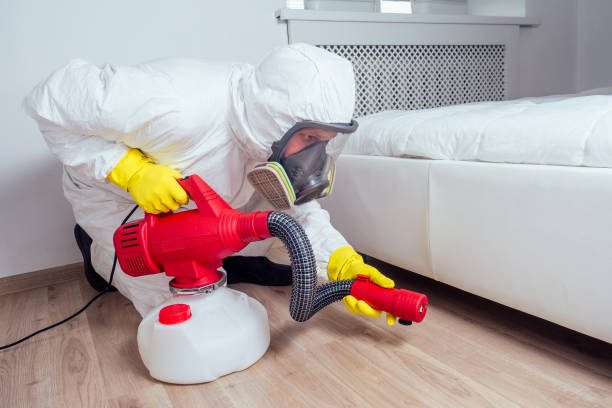 Best Mosquito Control Services  in El Dorado Hills, CA