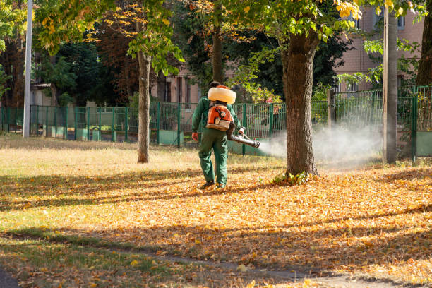 Best Residential Pest Control  in El Dorado Hills, CA