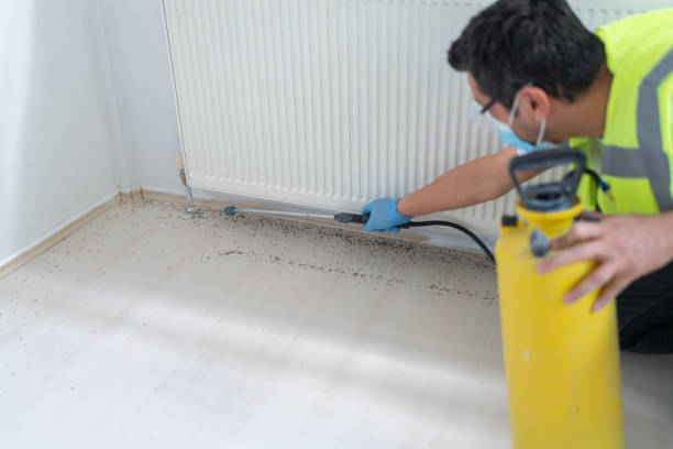 Best Bed Bug Extermination  in El Dorado Hills, CA